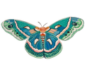 Blue Butterfly