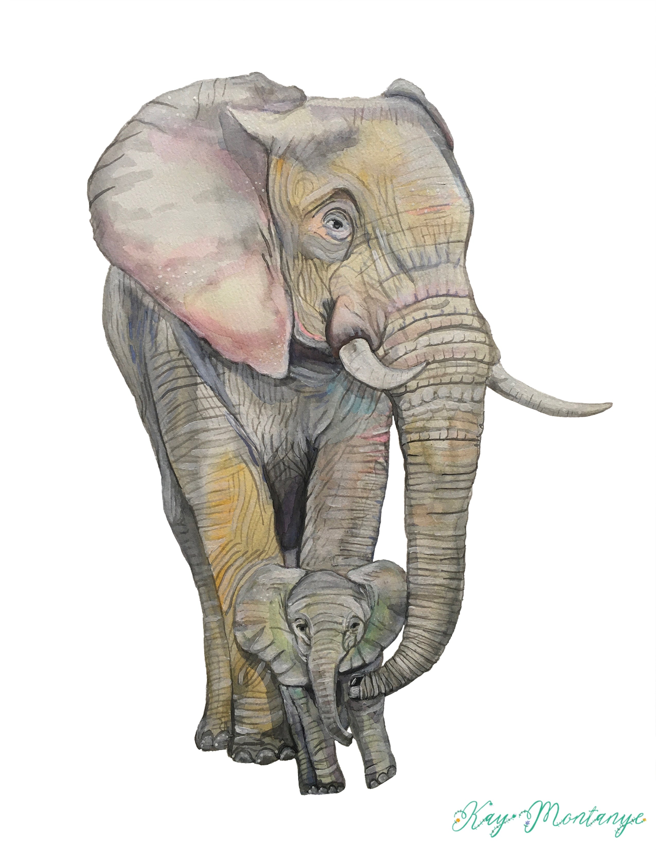 Elephants