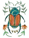 Beetle