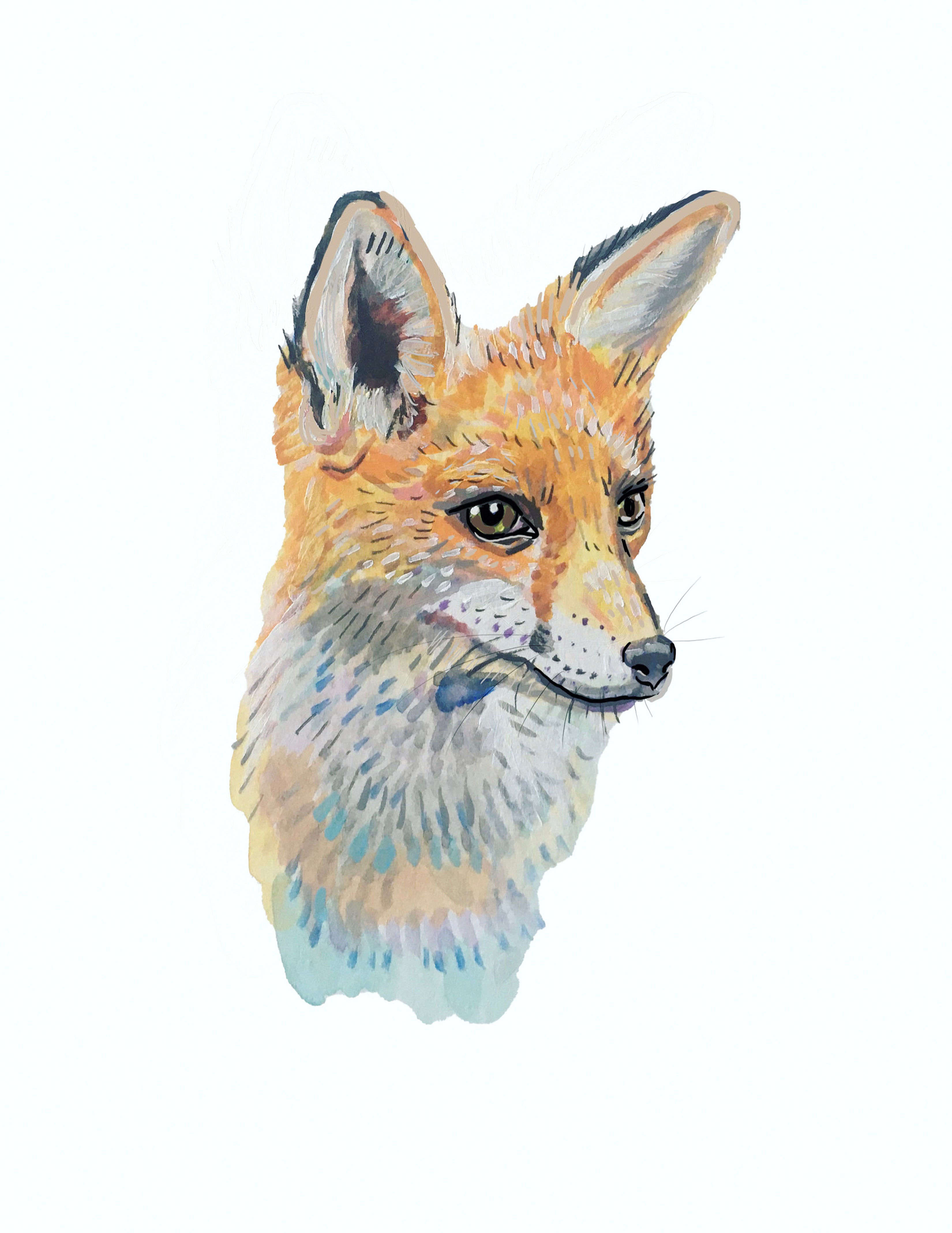 Fox Portrait