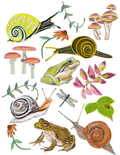 Wild Woodland Things