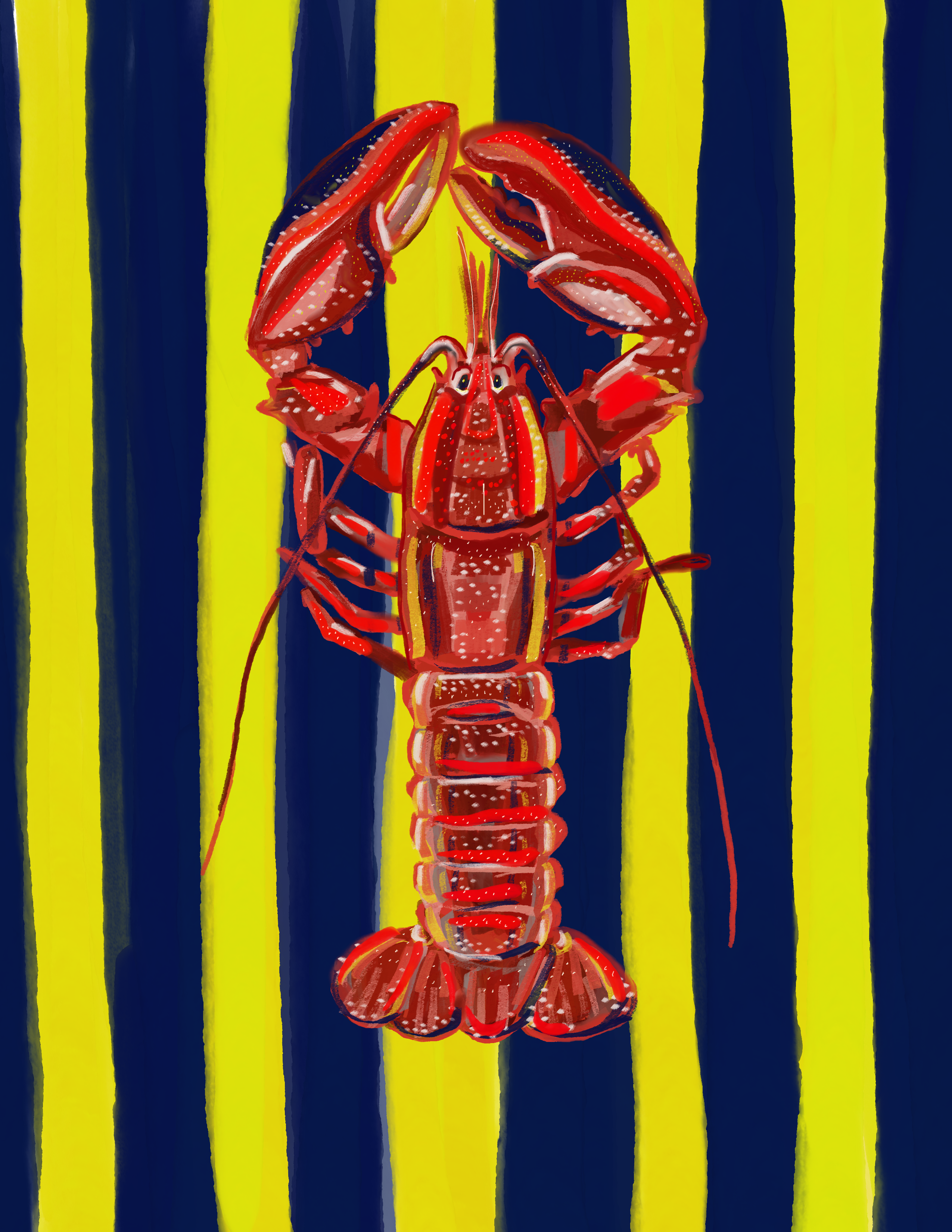 Lobster Striped