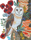 2024 Owl