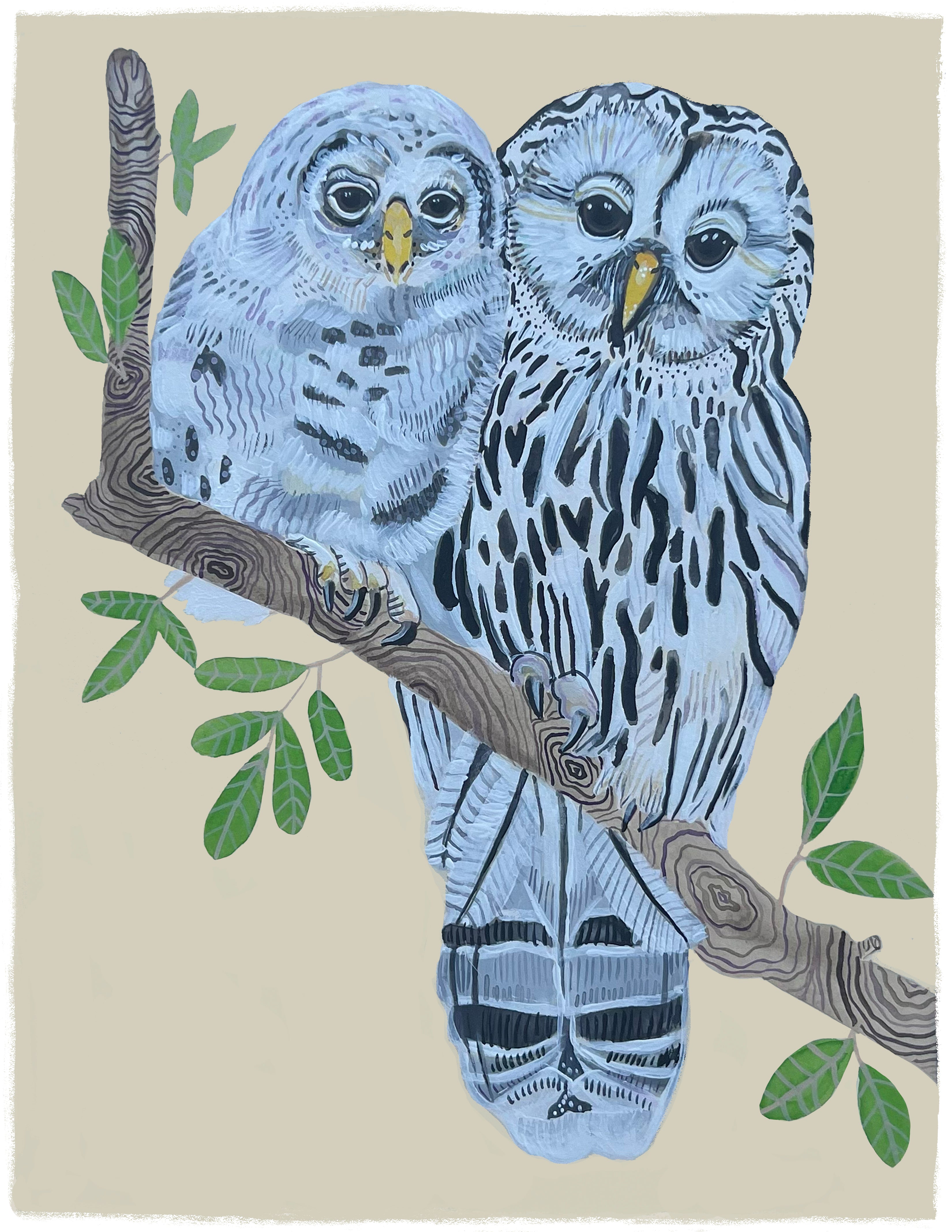 Momma Collection: Owls