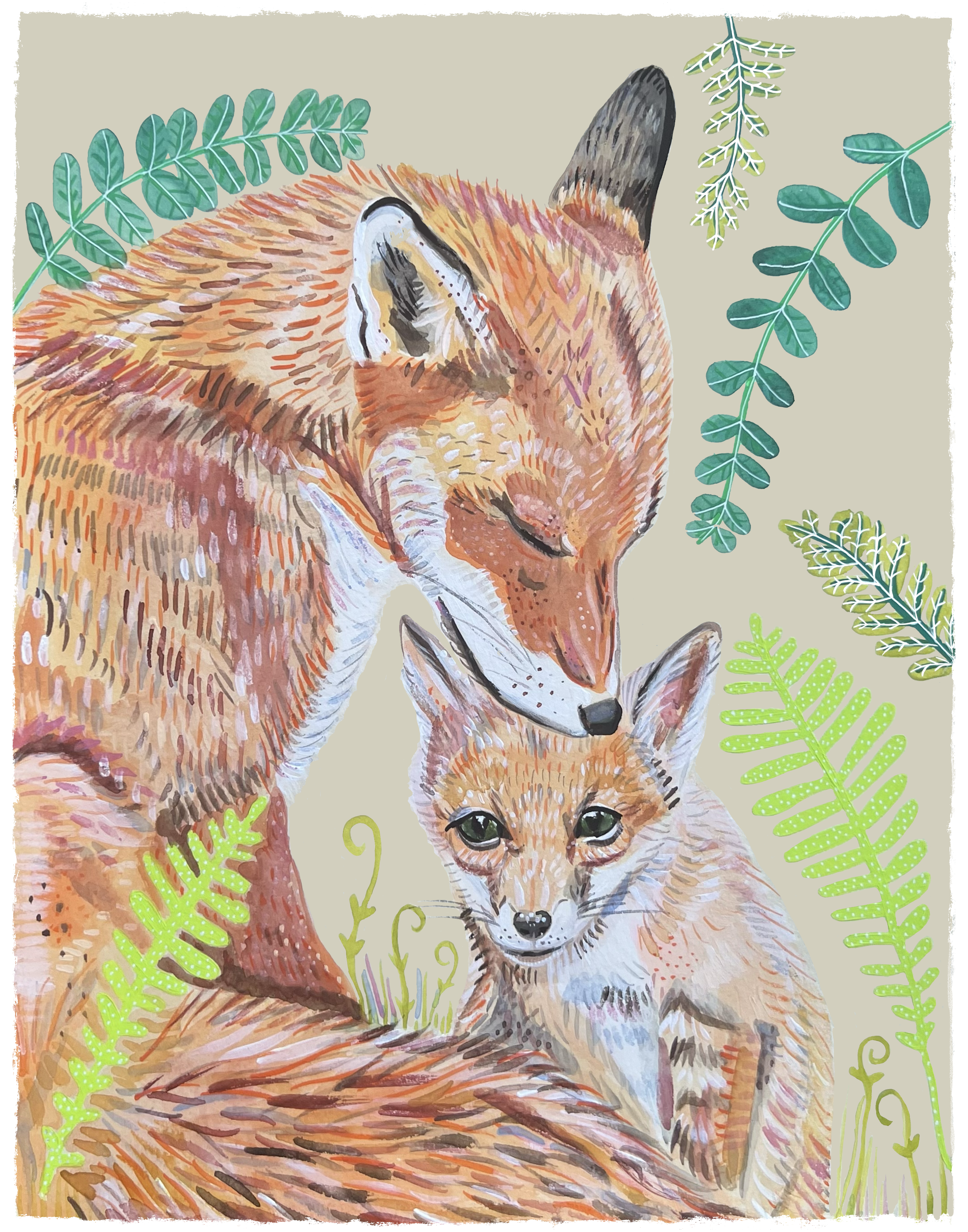 Momma Collection: Foxes