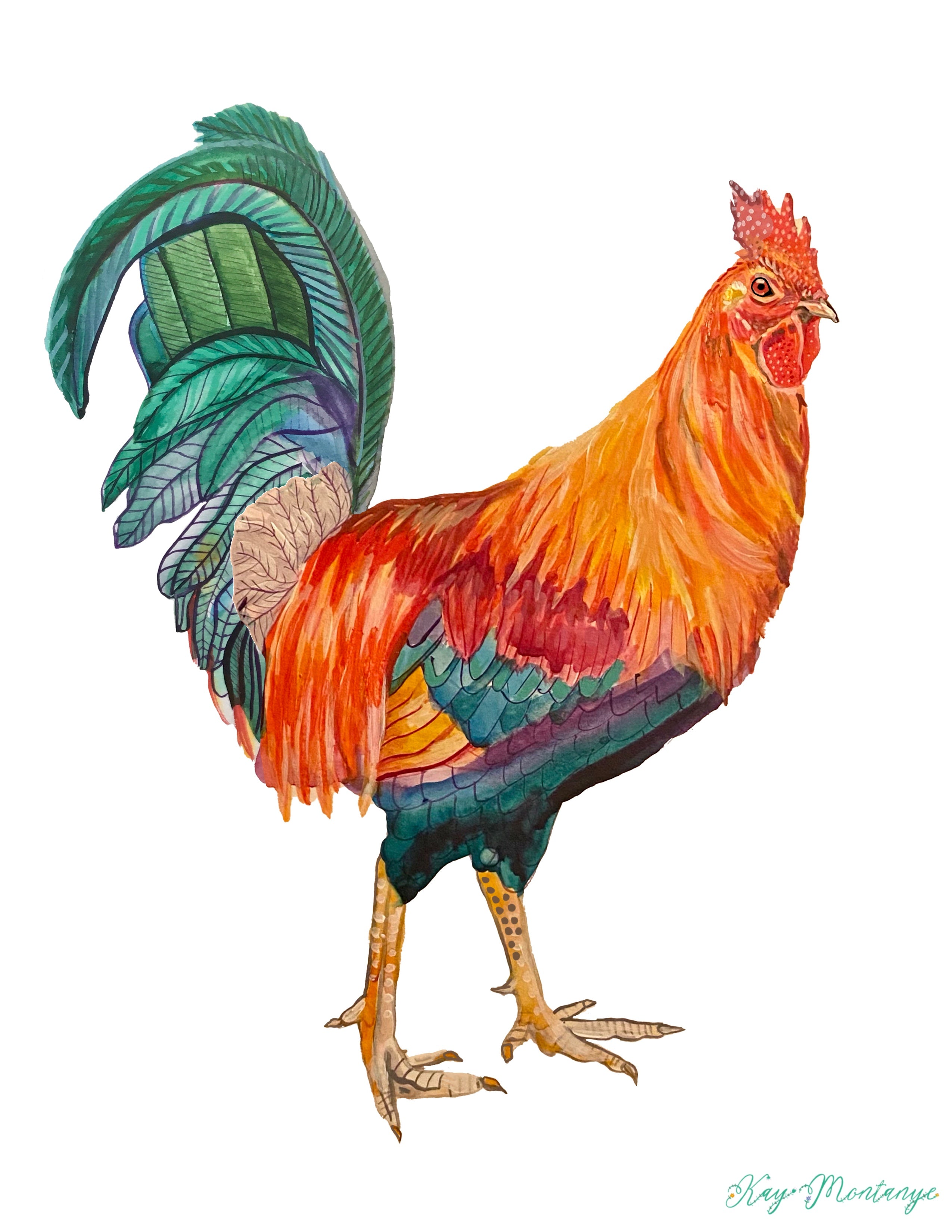 Rooster