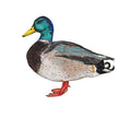 Mallard