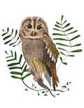 Owl 2021