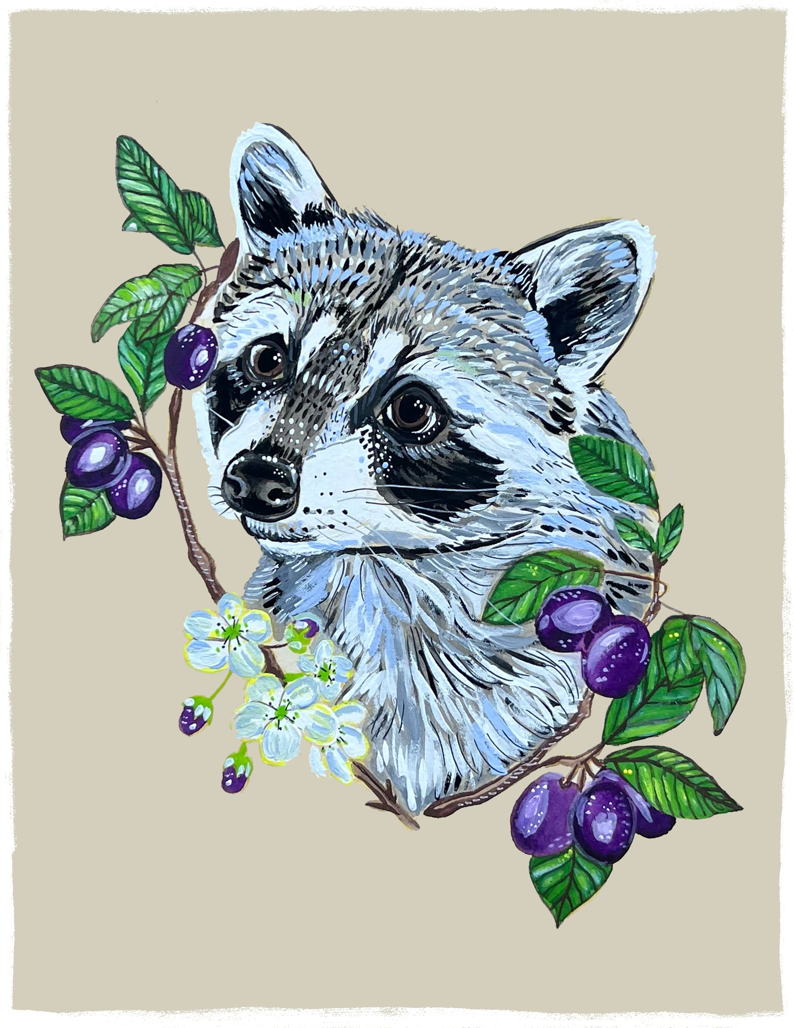 Raccoon in Grapes