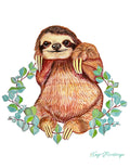 Baby Sloth