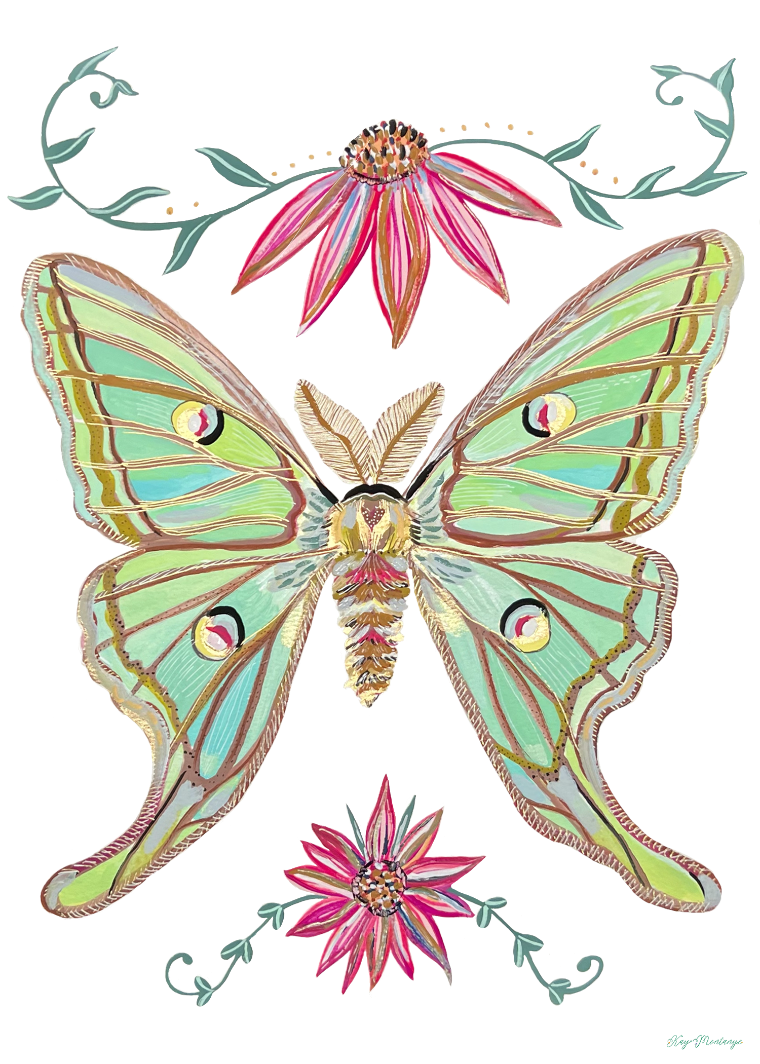 Luna Moth