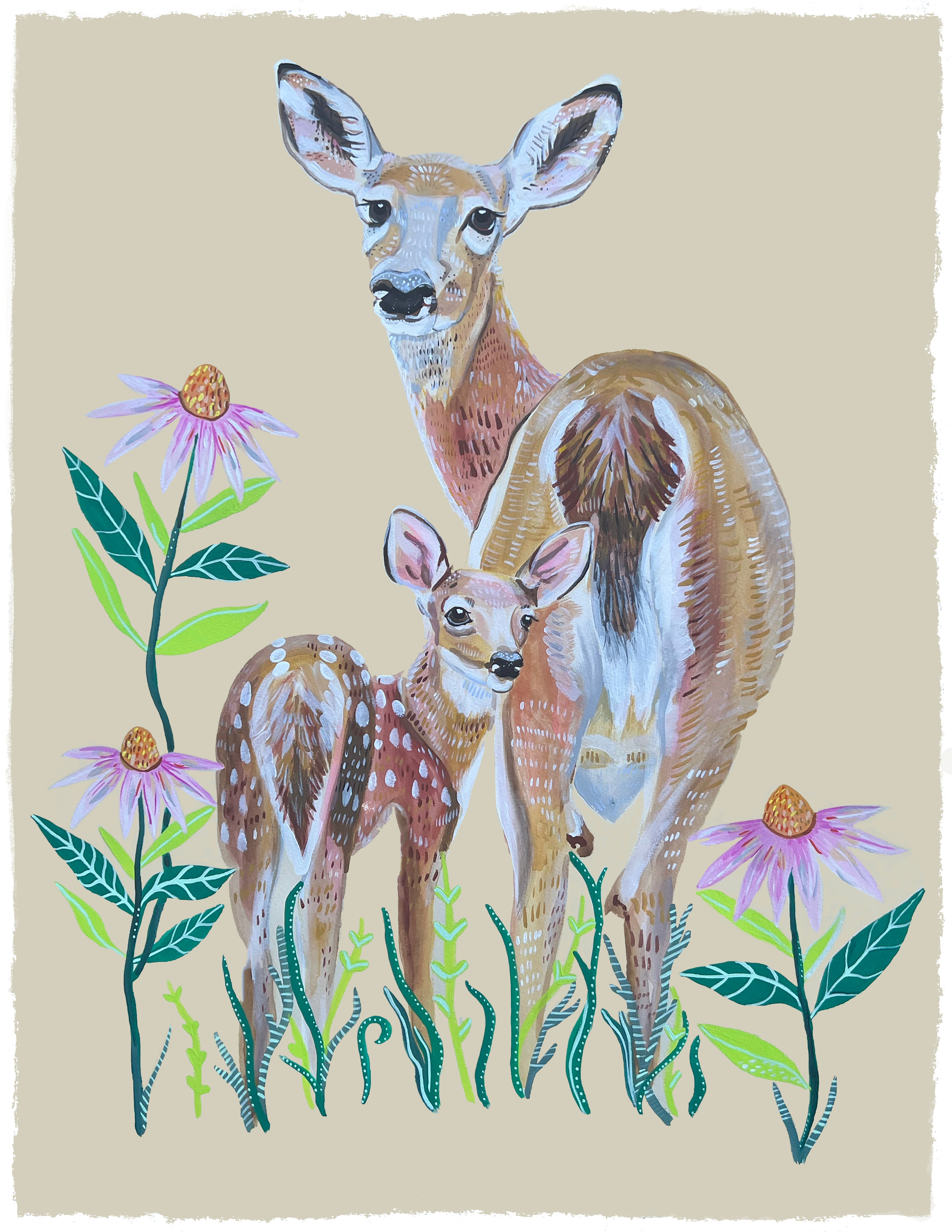 Momma Collection: Deer Butts