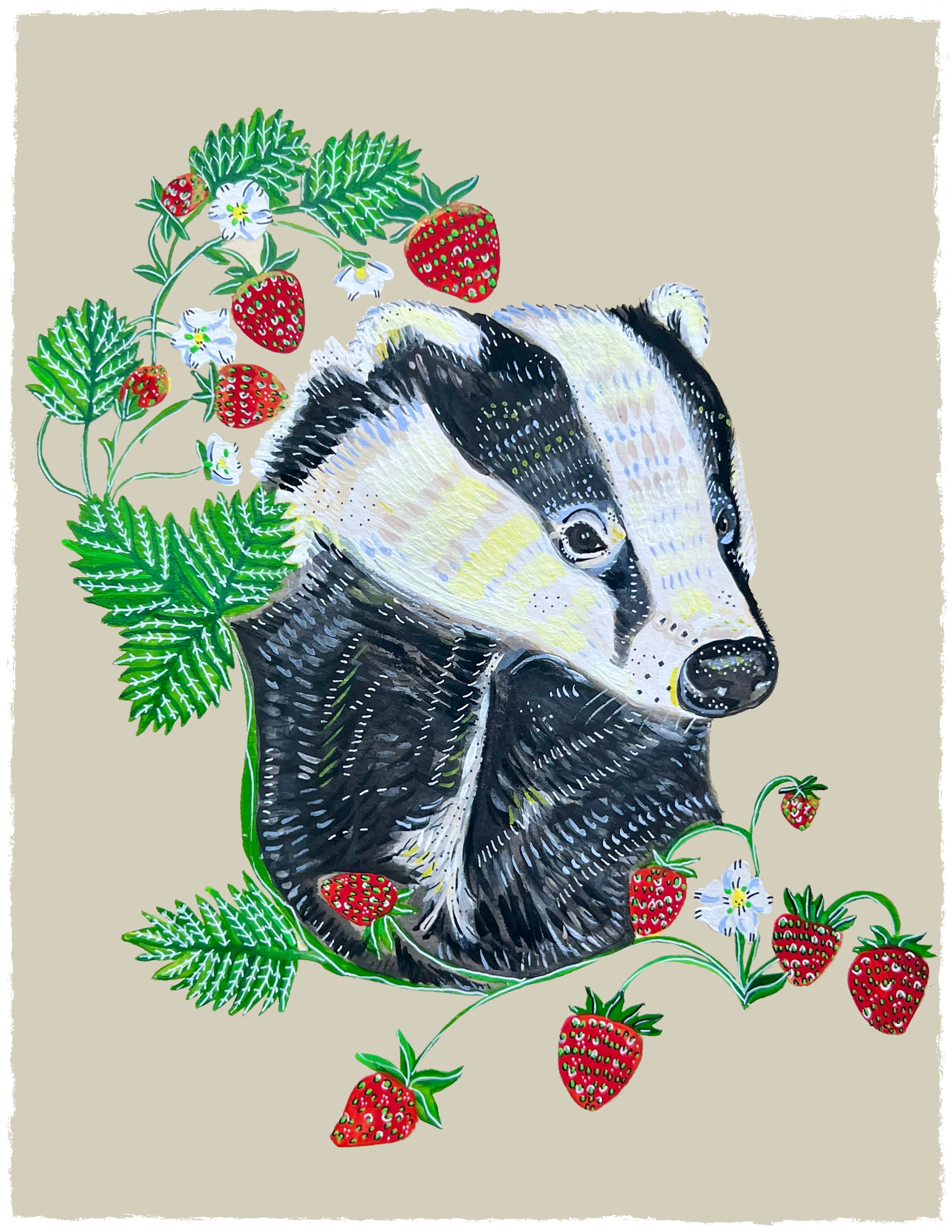 Badger with Strawberries
