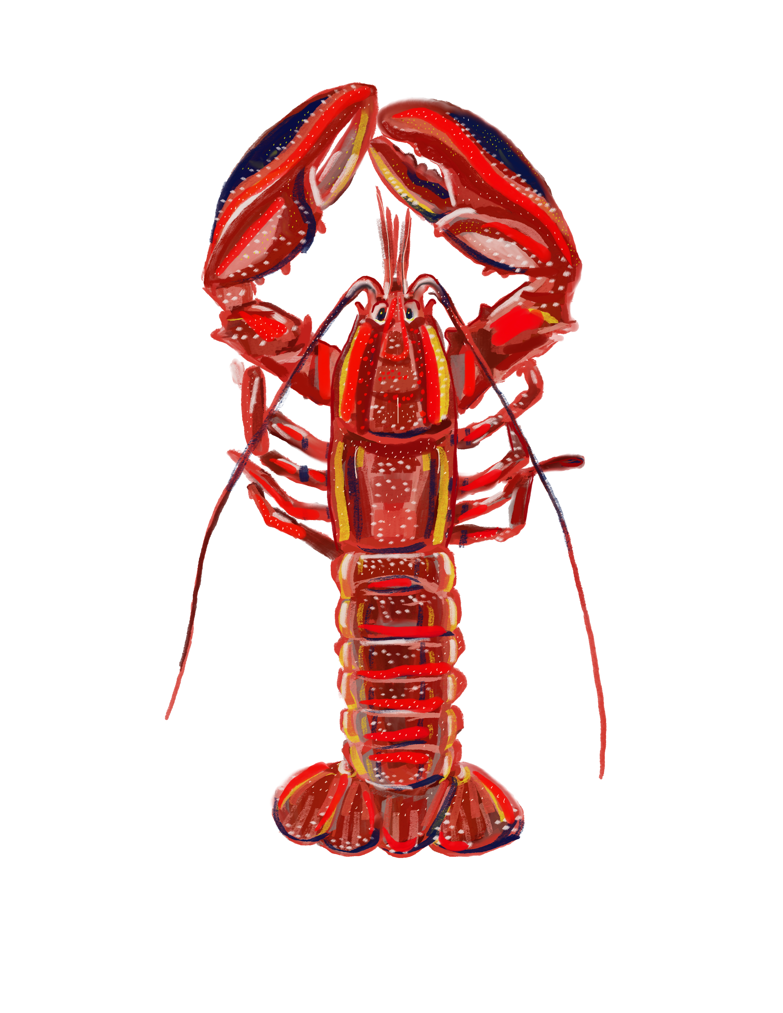 Lobster