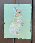 Young Bun Original
