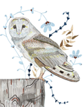 Owl 2022