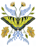 Yellow Monarch