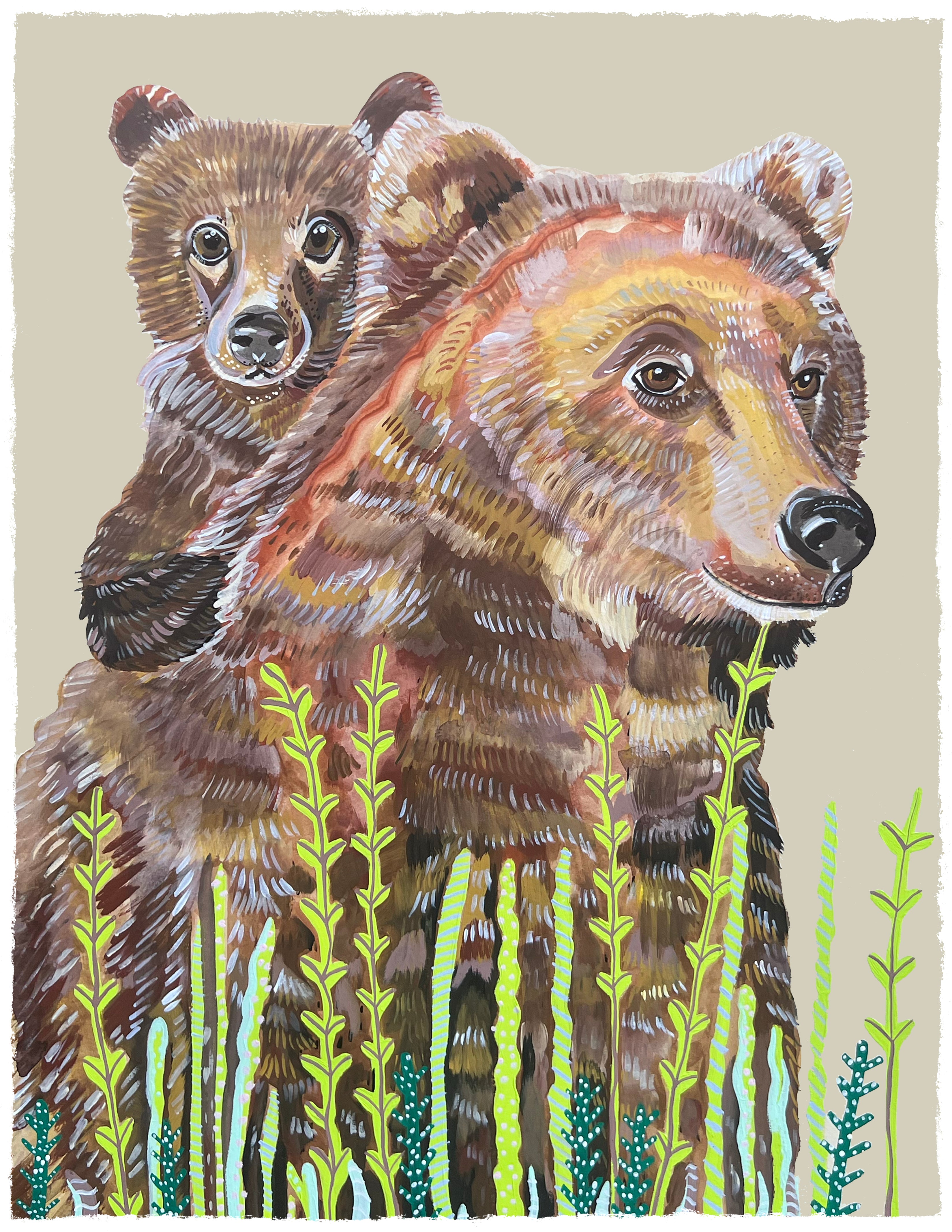 Momma Collection: Bears