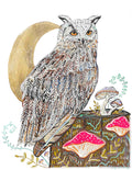 2025 Owl
